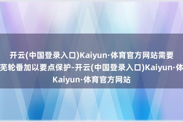 开云(中国登录入口)Kaiyun·体育官方网站需要国度接收荒芜轮番加以要点保护-开云(中国登录入口)Kaiyun·体育官方网站