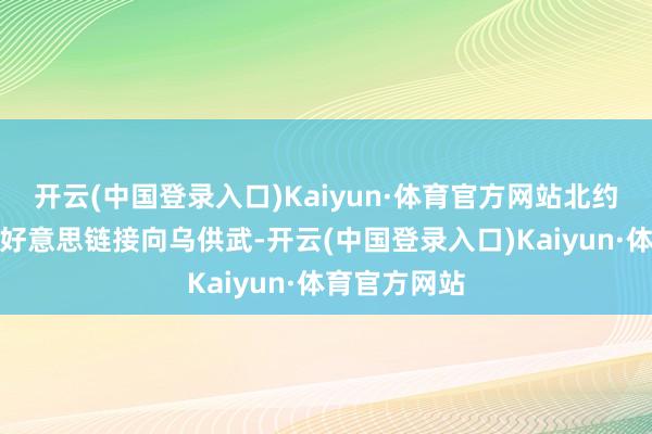 开云(中国登录入口)Kaiyun·体育官方网站北约书记长：若好意思链接向乌供武-开云(中国登录入口)Kaiyun·体育官方网站